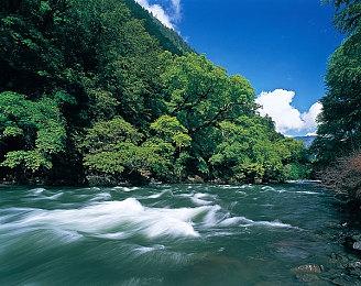 《上古卷轴OL》被指盗用粉丝艺术 官方：已联系正在和谈