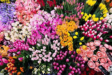 《刺客信条：影》情报泄露：游戏季票售价为40美元